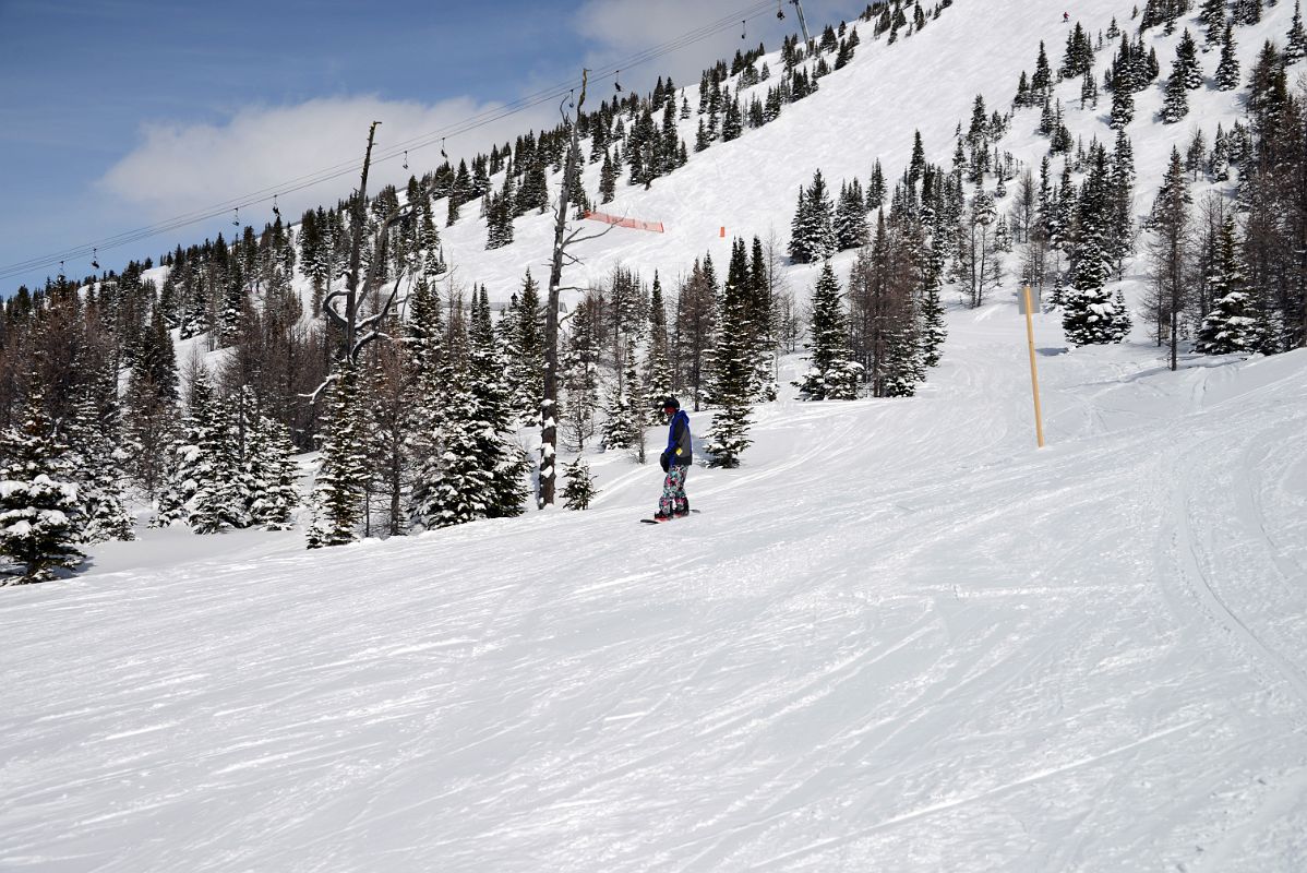 14J Finally Reached The Tree Line On Goats Eye Mountain Ski Area At Banff Sunshine Ski Area